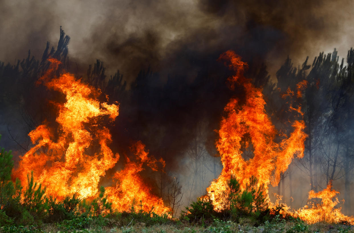 A view shows burning trees, as wildfires continue to spread in the Gironde region of southwestern France, August 11, 2022. REUTERS/Stephane Mahe