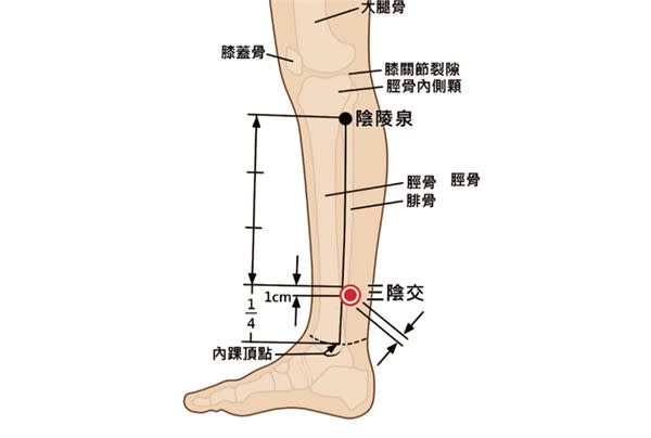 （圖片提供／創意市集）