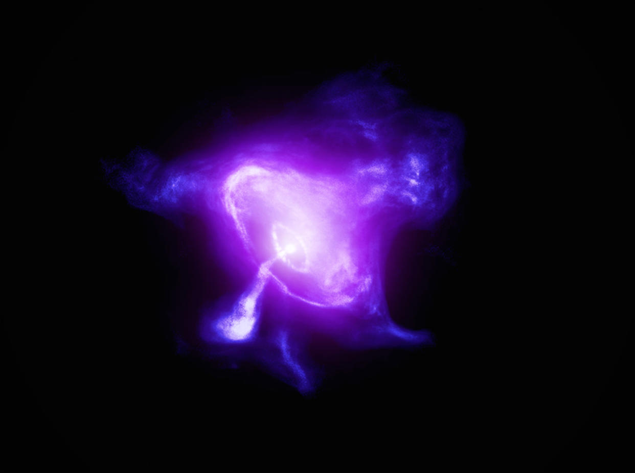  This image of the Crab Nebula combines data from NASA’s Imaging X-ray Polarimetry Explorer (IXPE) in magenta and NASA’s Chandra X-ray Observatory in dark purple. 