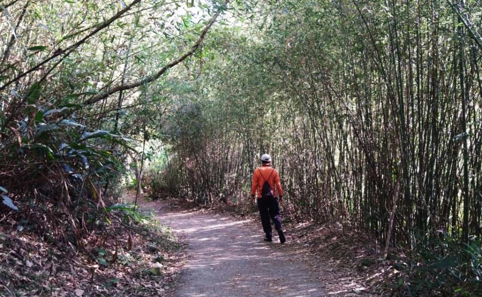 在雞籠山登山走進綠色世界。