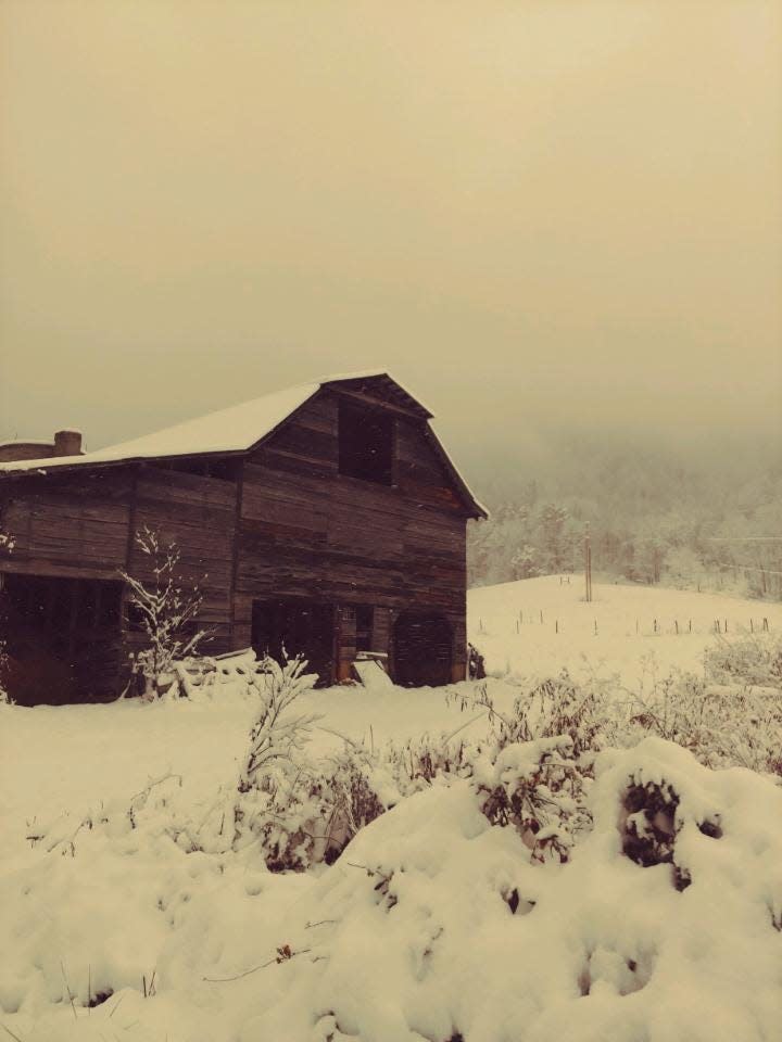 The barn on Worley Cove Road was built in the late 1940s by Ralph Worley and Frank Bonnom. It was one of four burned in an act of arson Nov. 3.