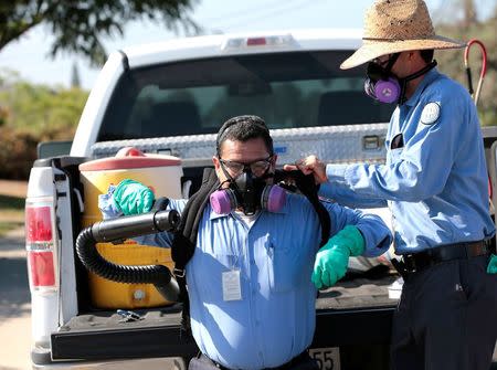 Robert Murillo gets help putting on his spraying apparatus as San Diego County officials hand spray a two block area to help prevent the mosquito-borne transmission of the Zika virus in San Diego, California, U.S. August 19, 2016. REUTERS/Earnie Grafton/File Photo
