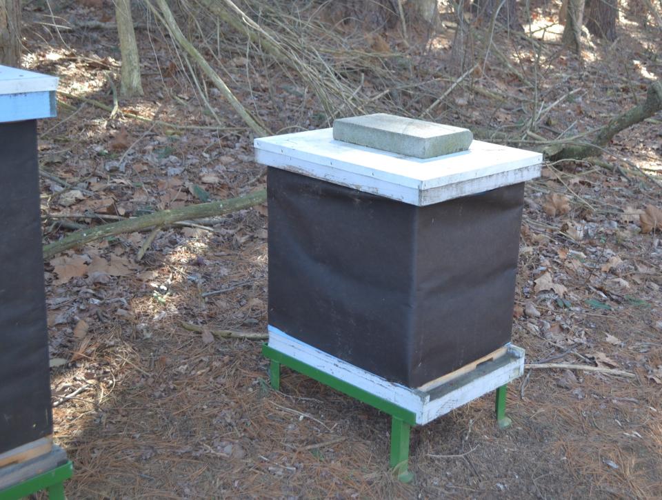 Tar paper is often used to wrap beehives to protect bees during the winter.