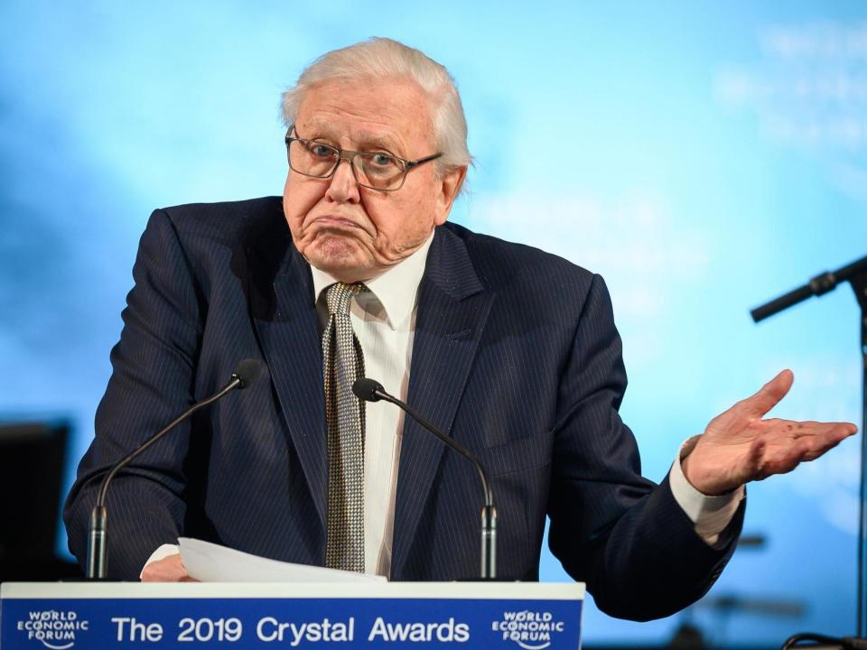 Davos 2019: David Attenborough issues stark warning about future of civilisation as he demands ‘practical solutions’ to combat climate change