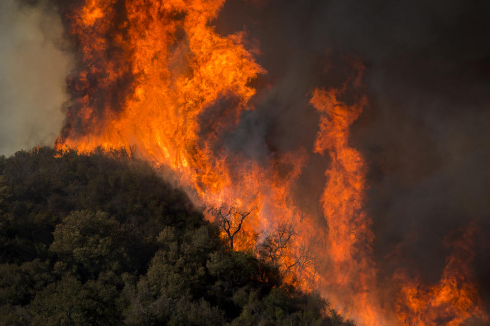Wind-driven flames move across Malibu Creek State Park during the Woolsey Fire on Nov. 9, 2018, near Malibu, Calif. (Photo by David McNew/Getty Images)