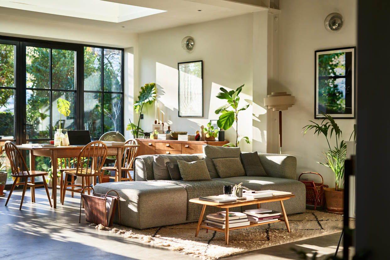 A living room with houseplants. 