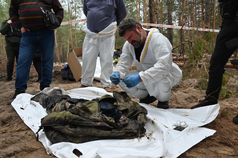 Un técnico forense inspecciona un cuerpo en un bosque en las afueras de Izium. (Photo by SERGEY BOBOK / AFP)