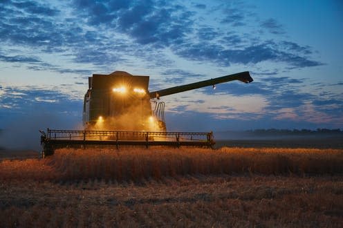   <span class="attribution"><a class="link " href="https://www.shutterstock.com/image-photo/harvester-operates-field-evening-wheat-harvested-1445766431" rel="nofollow noopener" target="_blank" data-ylk="slk:Braslavets Denys/Shutterstock;elm:context_link;itc:0;sec:content-canvas">Braslavets Denys/Shutterstock</a></span>