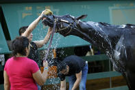 <p>Kentucky Derby winner Always Dreaming is washed after a workout at Pimlico Race Course in Baltimore, May 18, 2017. The Preakness Stakes horse race is scheduled to take place May 20. (Photo: Patrick Semansky/AP) </p>