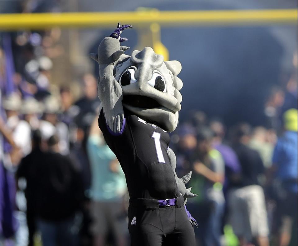 TCU's SuperFrog is a super cool mascot.