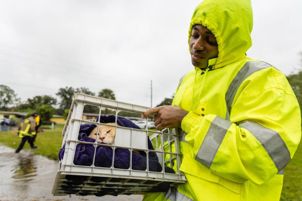 A rescuer carries a cat to safety following Hurricane Ian.  (Courtesy Orange County Government, Florida)
