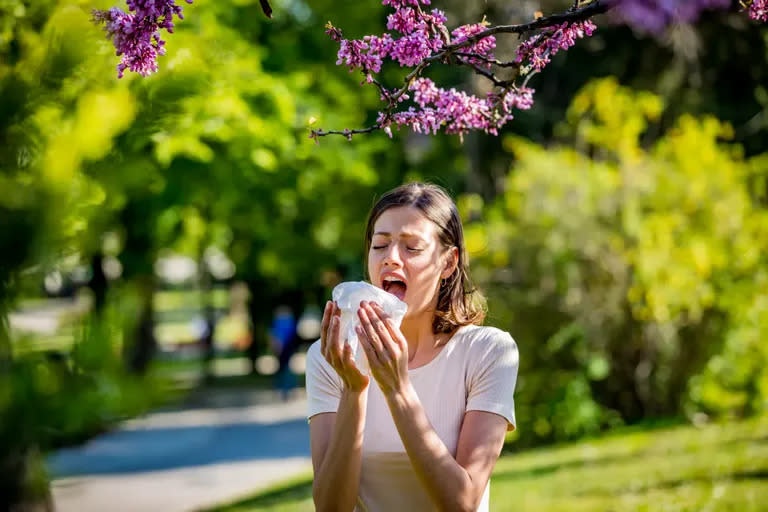 La primavera llega con las típicas alergias de la estación