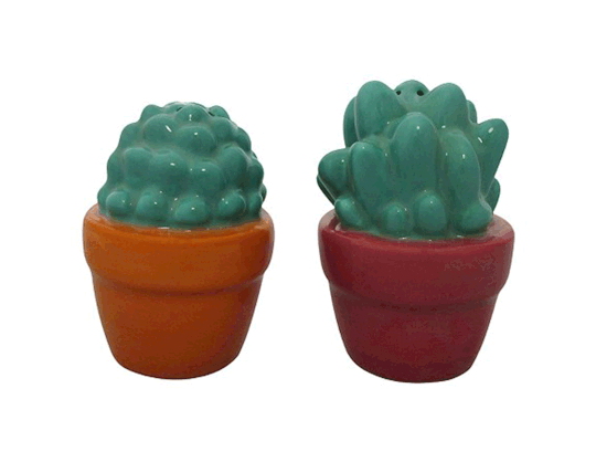 Pepper your kitchen table with some adorable succulent shakers.  