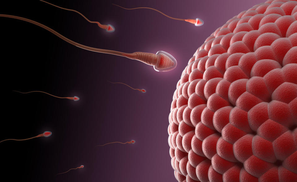 There are more than just fraternal and identical twosomes; other rare twin types include “half identical twins” (when the egg splits and then each half is fertilized) and mirror image twins (identical twins who develop asymmetrically).