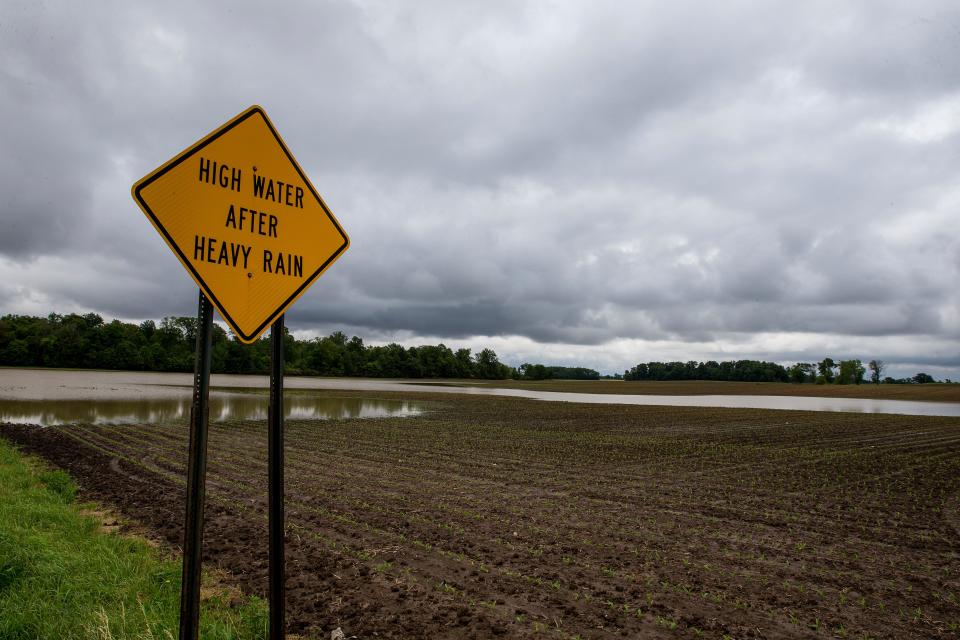 Scott Labig was able to plant this corn in early June. At this time last year, his corn had already grown to his knee. Heavy rainfalls have created planting delays for farmers around Ohio and the Midwest. Photo shot Monday June 17, 2019. 