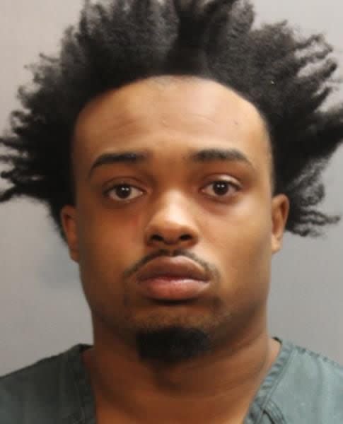 Deontrae Dixon, 23: Two counts of resisting an officer without violence, possession of not more than 20 grams of marijuana