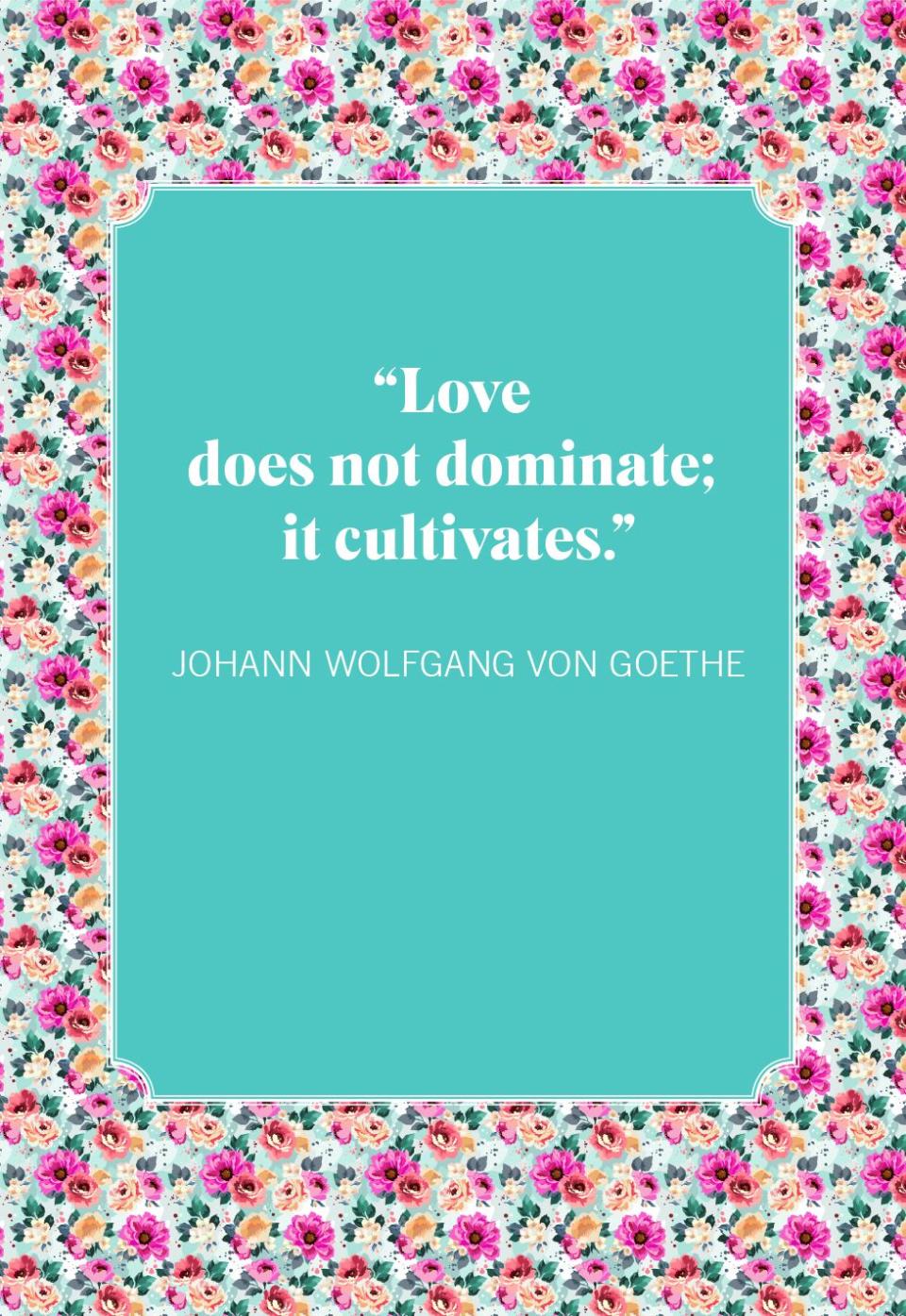 love quotes johann wolfgang von goethe