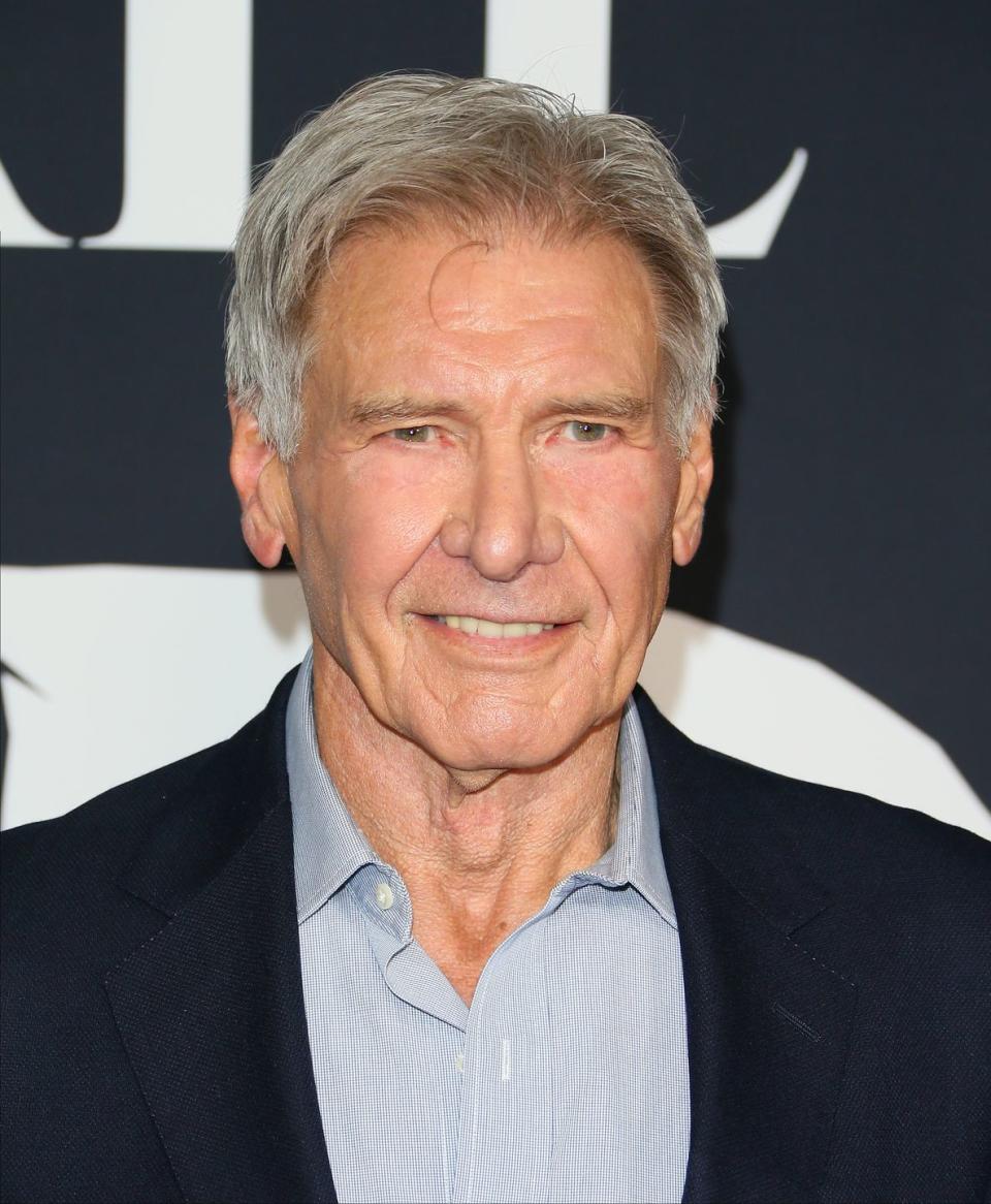 <p>Ford has never shied away from embracing his silver fox status. He even <a href="https://www.contactmusic.com/harrison-ford/news/ford-refused-to-cover-grey-hair-for-indy-role_1069416" rel="nofollow noopener" target="_blank" data-ylk="slk:refused to dye his gray hair;elm:context_link;itc:0;sec:content-canvas" class="link ">refused to dye his gray hair</a> for the 2008 revival of the <em>Indiana Jones </em>franchise.  </p>