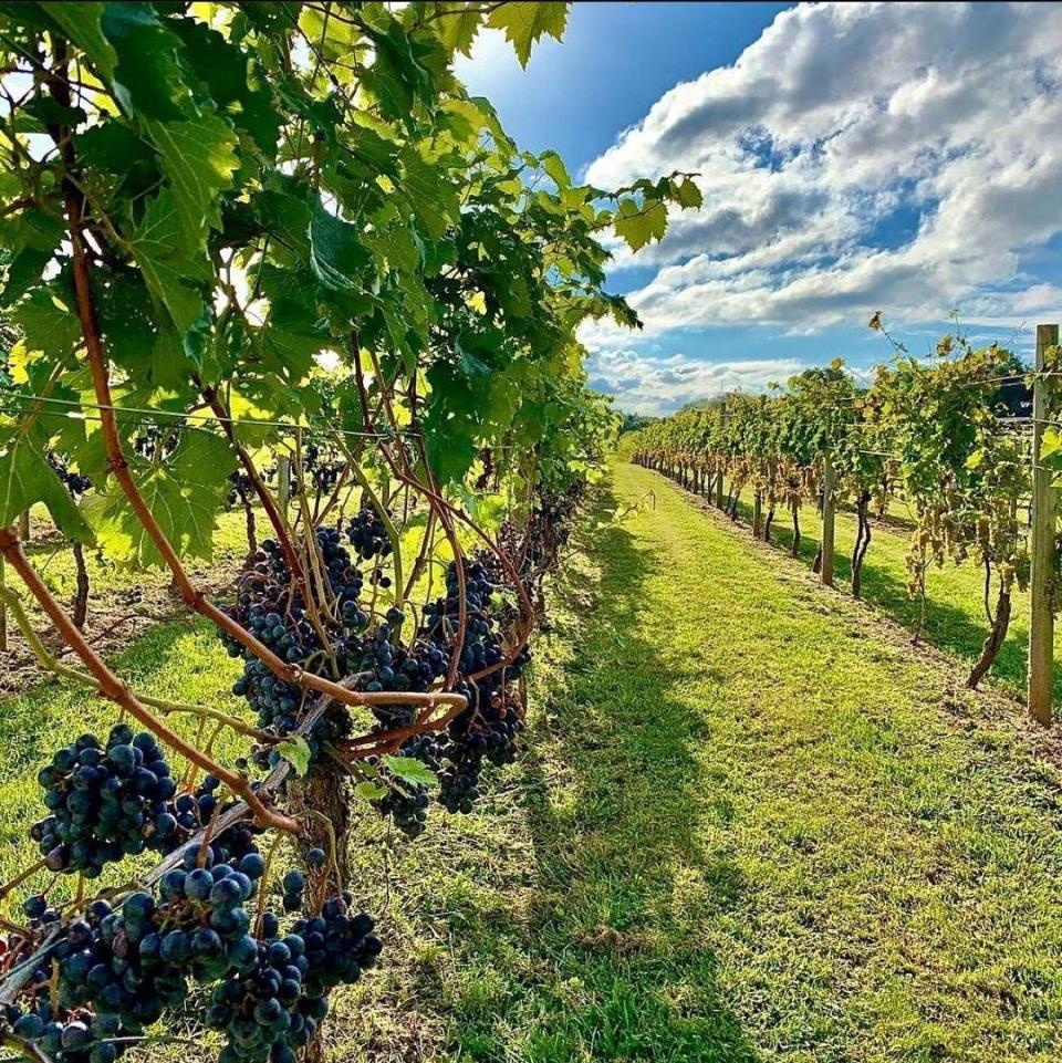 Crossing Vineyards and Winery in Newtown is one of seven wineries participating in the Summer Sip & Savor food and wine pairing event co-sponsored by Visit Bucks County and the Bucks County Wine Trail this August.