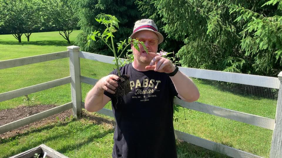 Jim Gaffigan is going green, literally.  / Credit: CBS News