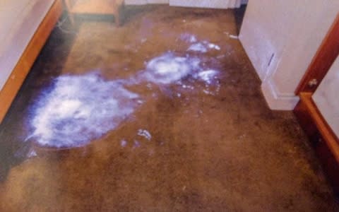 Luminol highlights the alleged blood stains on the floor of the alleged murderer's apartment  - Credit: Auckland City Police