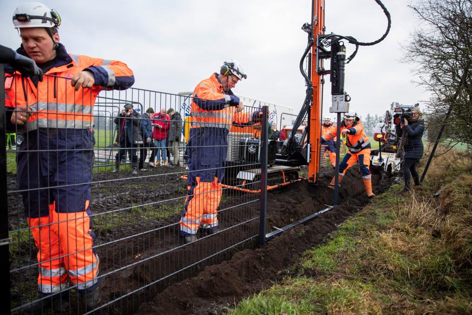 Workers erect a fence along the Denmark Germany border at Padborg, Denmark, Monday Jan. 28, 2019. Denmark has begun erecting a 70-kilometer (43.4-mile) fence along the German border to keep out wild boars in an attempt to prevent the spread of African swine fever, which could jeopardize the country's valuable pork industry.