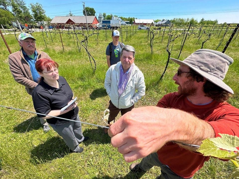 Ethan Joseph, head winegrower at Shelburne Vineyard, explains damage caused by last week's freeze to visitors.