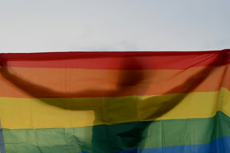 Le Parlement irakien a adopté un texte de loi criminalisant les relations homosexuelles et les transitions de genre, avec des peines pouvant aller jusqu'à 15 ans d'emprisonnement (JAM STA ROSA)