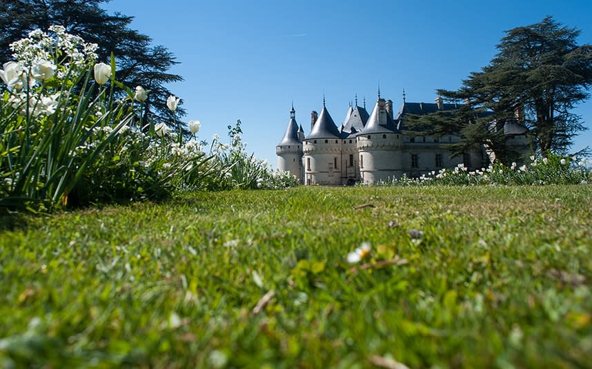 More than 30 themed gardens are on show at the International Garden Festival at the Château de Chaumont - This content is subject to copyright.