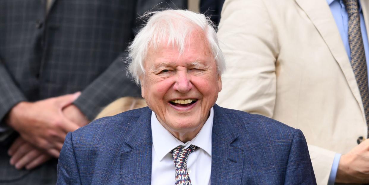 david attenborough, wimbledon