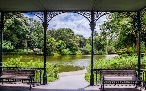 singapore botanic gardens - Credit: MANFRED GOTTSCHALK