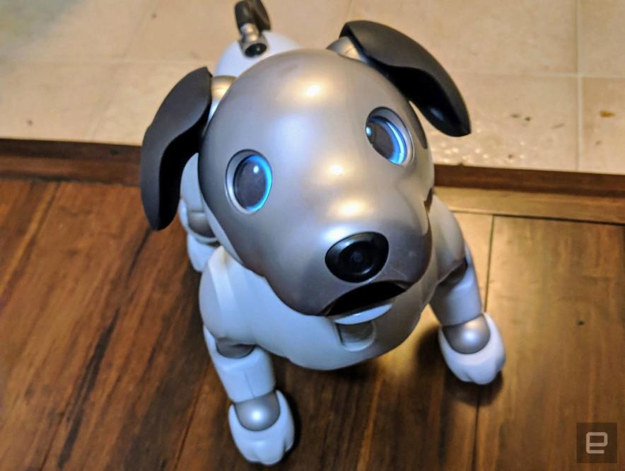 Sony Aibo Review: What It's Like To Live With a $2,900 Robot Dog