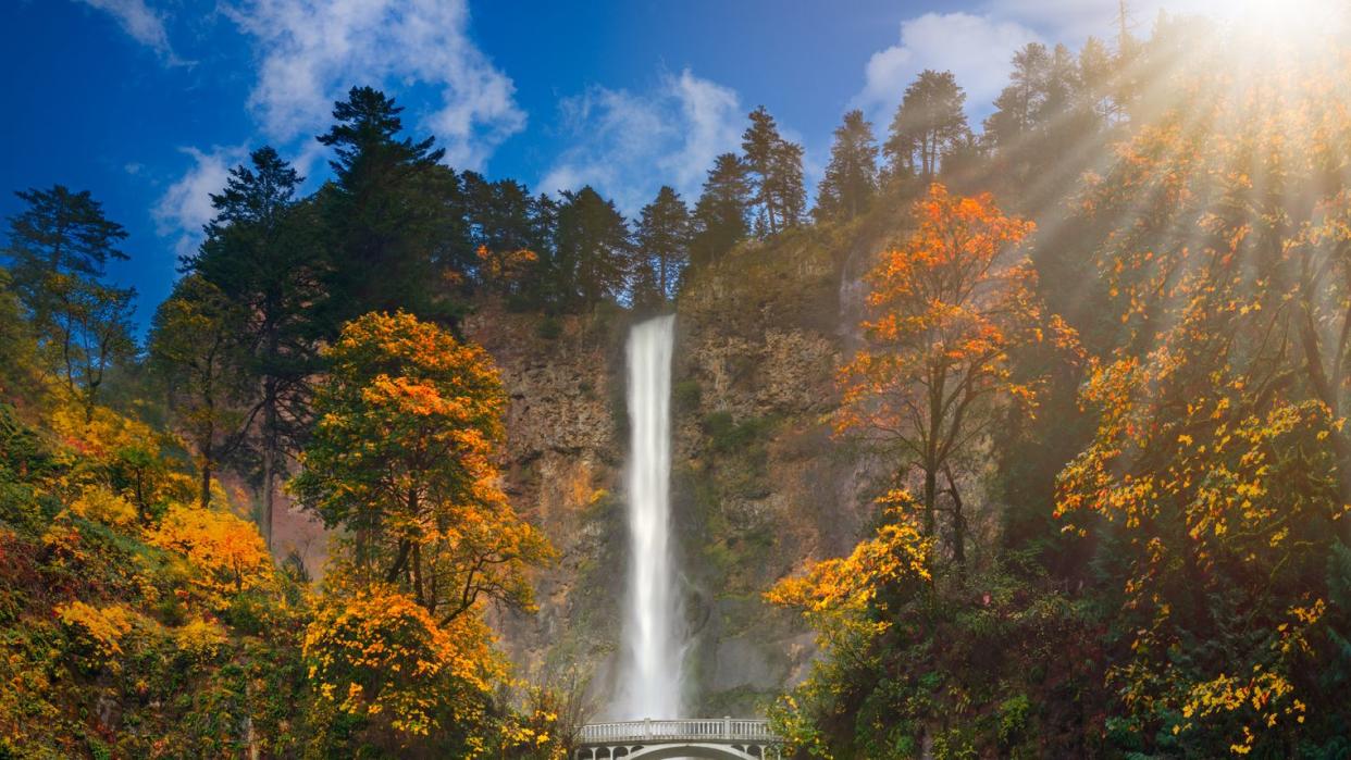 multnomah falls in autumn colors high resolution