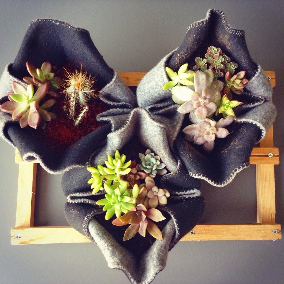 <p>Se trata de contenedores textiles de fieltro inspirados en una flor de loto. Ideales para cultivos urbanos y plantas decorativas como una opción alternativa a las macetas típicas de barro, cerámica y plástico.<br><br>Sus múltiples características lo convierten en un producto sustentable, ya<br>que nutre las raíces de forma completa (por su porosidad absorben<br>el agua), no provoca estancamientos y por ende no propicia<br>la creación de moho y hongos en la planta. <br></p>