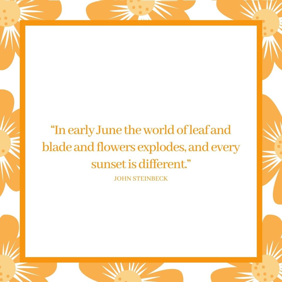 June Quotes: John Steinbeck