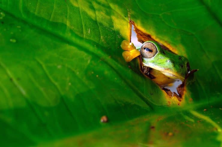 Les photos les plus drôles d’animaux