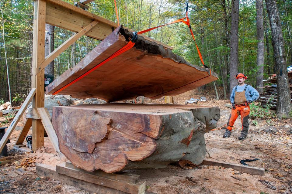 Kevin Merle, of New England Urban Lumber in Hopkinton, eyes a 4-by-10-foot, 850-pound slab of beech tree that was just cut with an Alaskan chainsaw mill, a type of sawmill that incorporates a chainsaw and is used by one or two operators to mill logs into lumber for use in furniture, construction and other uses. For nearly 200 years, the tree stood near the corner of Main and Union streets in Ashland, the last 52 years in front of Matarese Funeral Home and Cremation Service Inc. The slabs will become countertops and dining room tables.