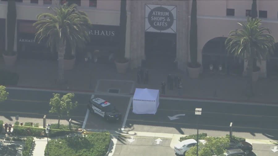 Fatal shooting at Fashion Island in Newport Beach