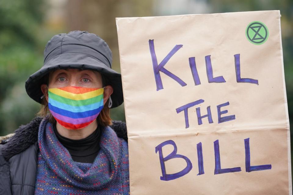 A demonstrator in London (Dominic Lipinski/PA) (PA Wire)