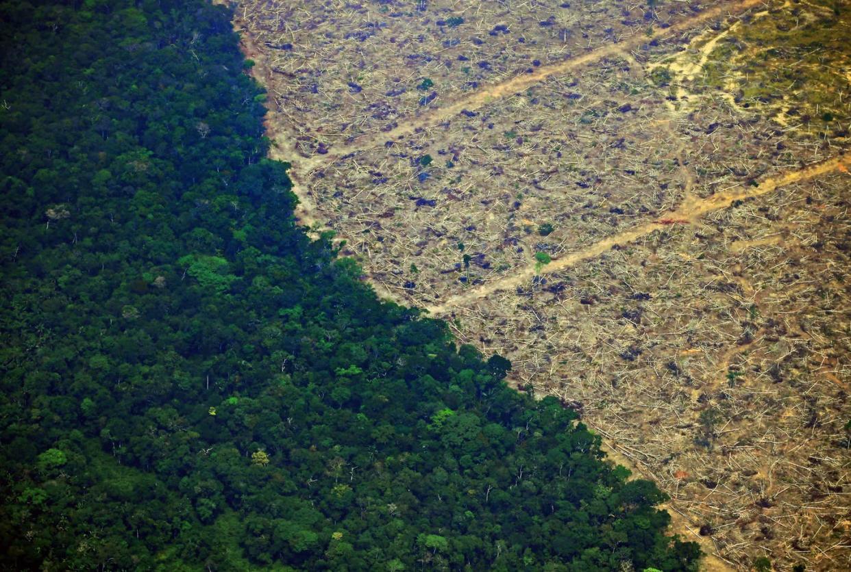 <span class="caption">A deforested piece of land in the Amazon rainforest near Porto Velho, in the state of Rondonia, in northern Brazil, on Aug. 23, 2019.</span> <span class="attribution"><a class="link " href="https://www.gettyimages.com/detail/news-photo/aerial-picture-showing-a-deforested-piece-of-land-in-the-news-photo/1163385255?adppopup=true" rel="nofollow noopener" target="_blank" data-ylk="slk:Carl De SouzaA/FP via Getty Images;elm:context_link;itc:0;sec:content-canvas">Carl De SouzaA/FP via Getty Images</a></span>