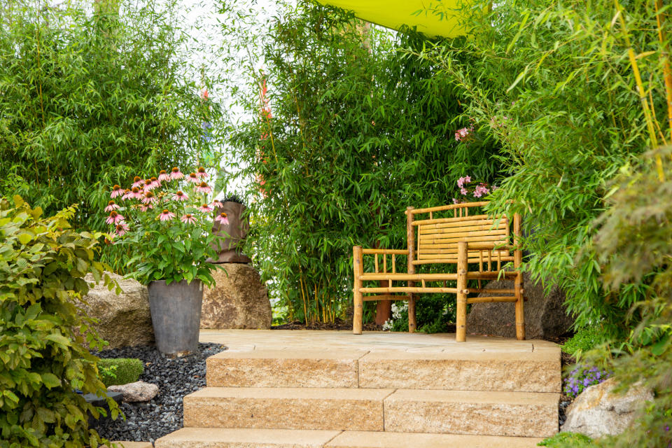 A backyard with borders of bamboo