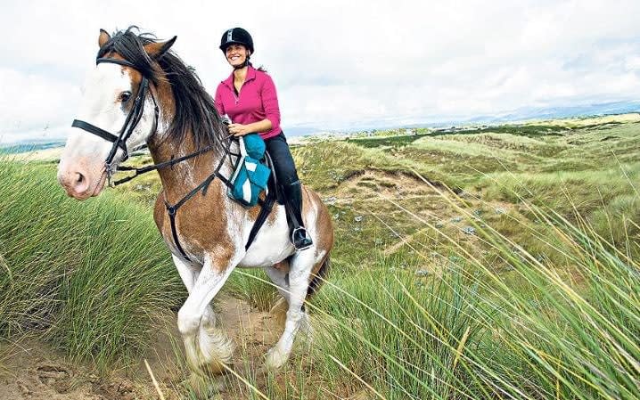 Horses may be injured by weighty riders, a new study has shown