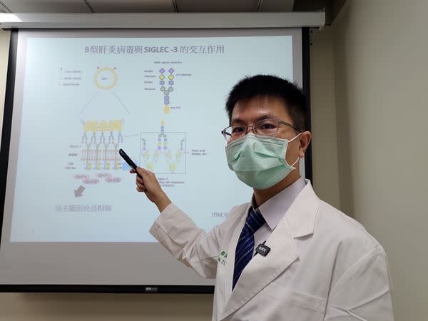 中國醫藥大學附設醫院 消化系蔡宗佑醫師說明B型肝炎病毒與SIGLEC-3的交互作用。（圖片提供／中國醫藥大學附設醫院）