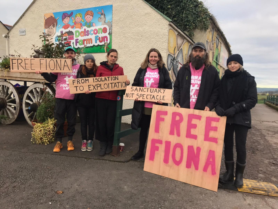 Animal Rising activists protest at Dalscone Farm holding ‘Free Fiona’ signs (Animal Rising)