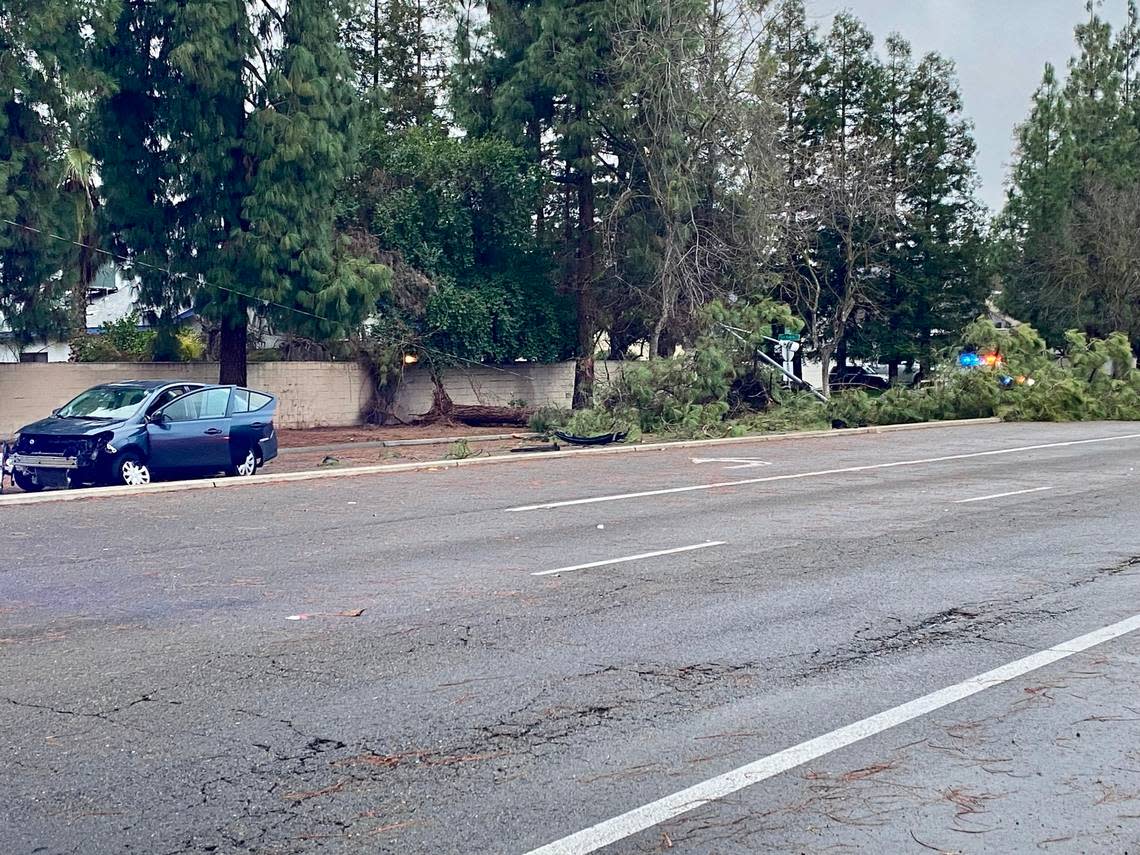 A tree fell early Monday, Jan. 16, 2023, near Brawley and San Madele avenues during a surge in wind speeds, Fresno police said. Trees and power lines around the city fell as winds reached 40 mph.