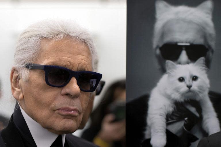 Karl Lagerfeld’s famous cat Choupette may get paws on slice of £150m fortune