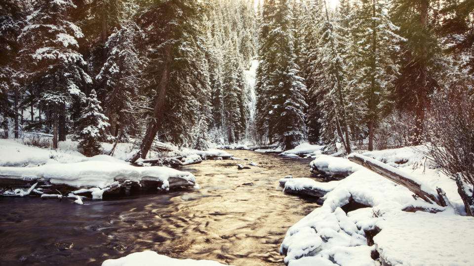 Bozeman, Montana