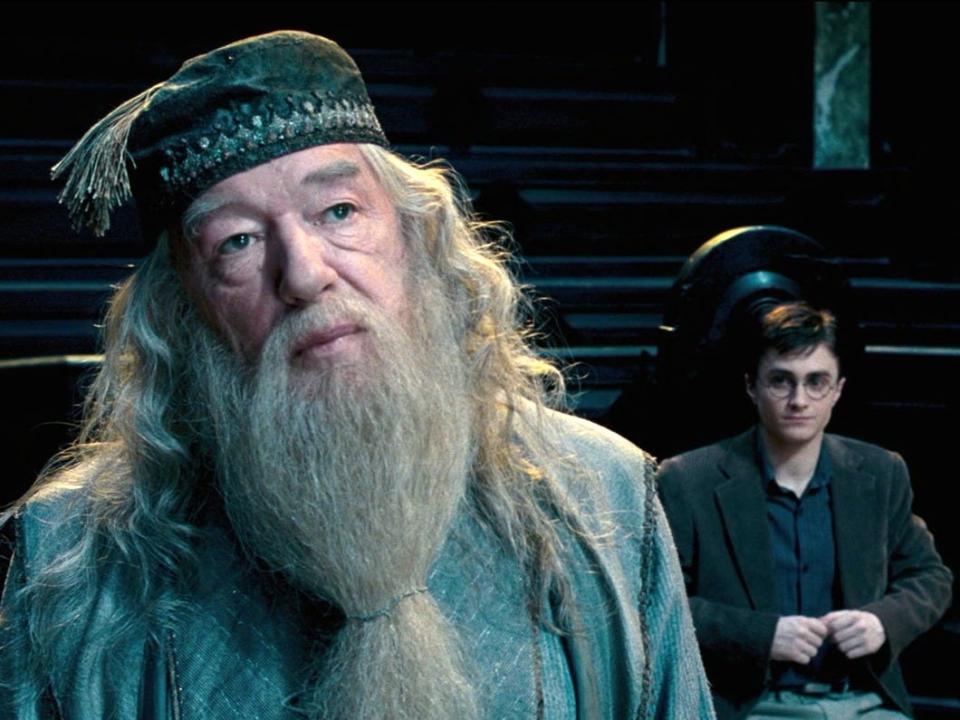 Dumbledore Harry Order of the Phoenix Harry Potter ministry