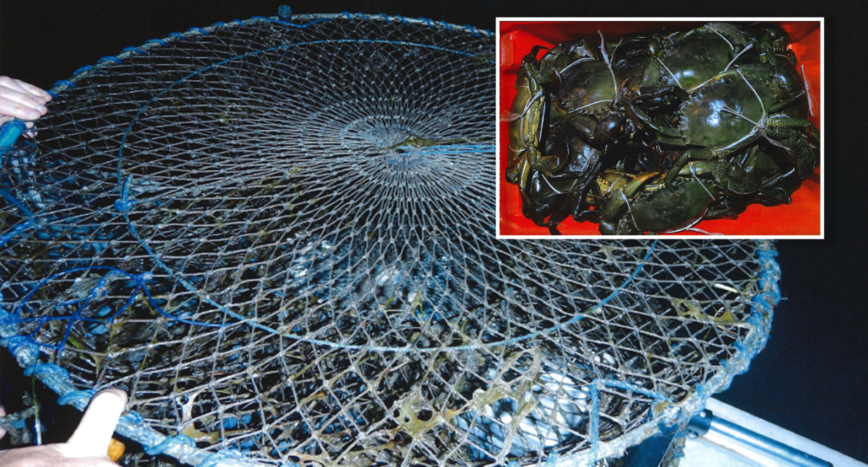 Twenty-four crabs were seized by authorities. Source: DES