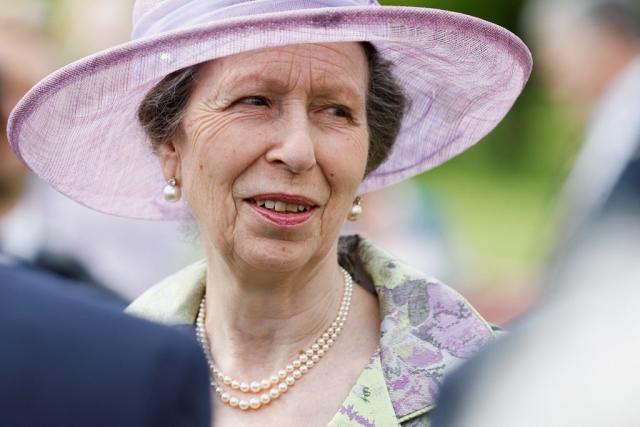 The Princess Royal filled in for the Queen (Peter Cziborra/PA) (PA Wire)